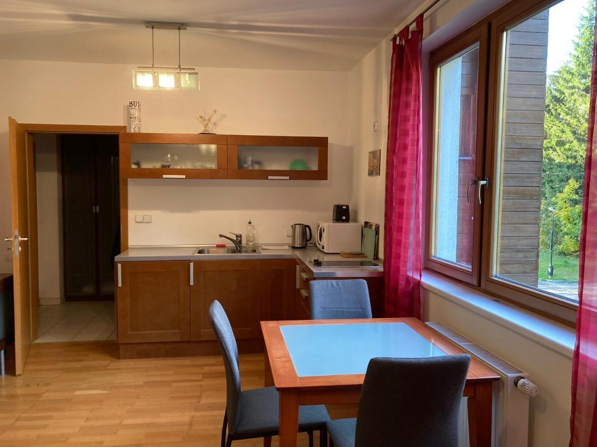 Studio Apartment Michael Szpindlerowy Młyn Zewnętrze zdjęcie