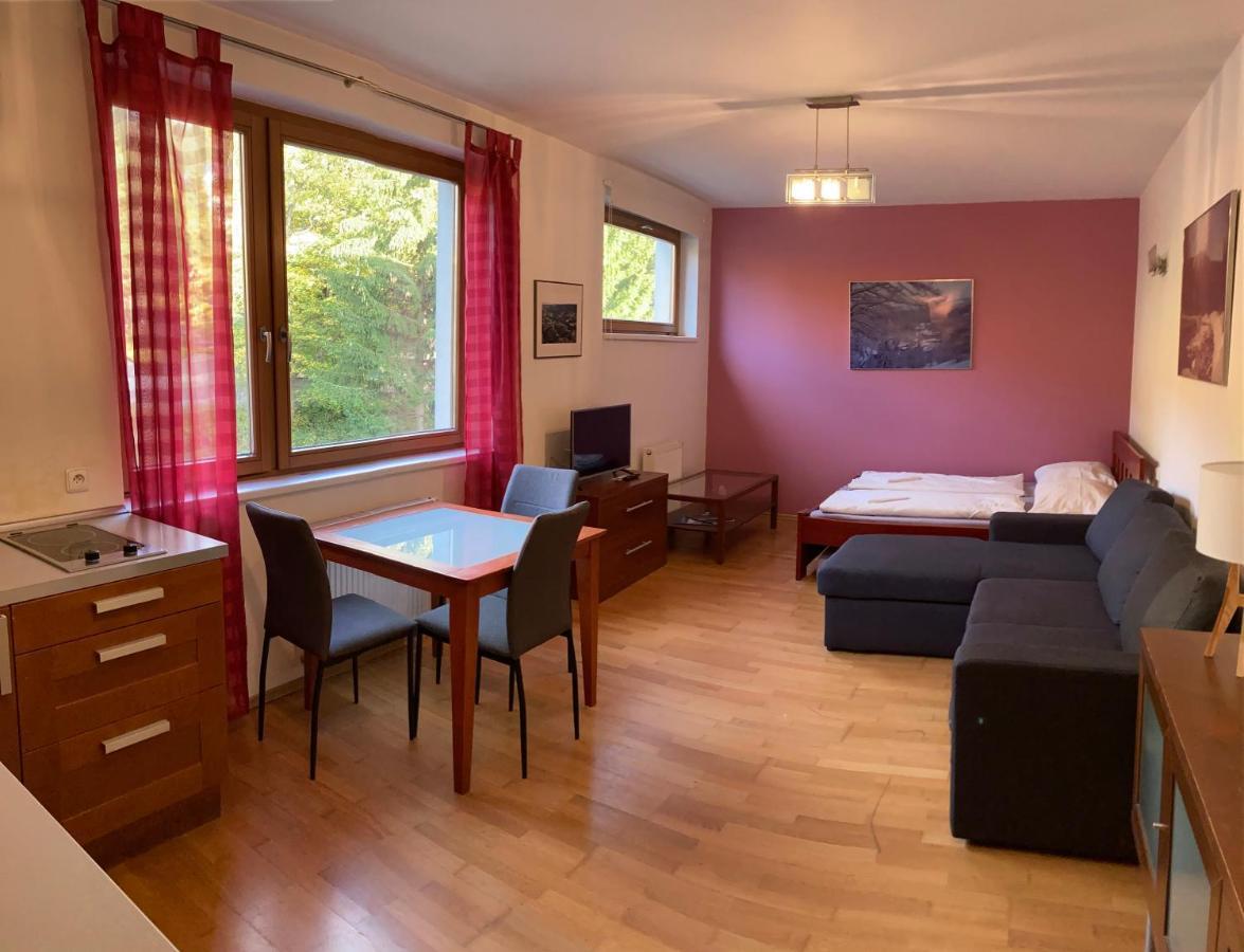 Studio Apartment Michael Szpindlerowy Młyn Zewnętrze zdjęcie